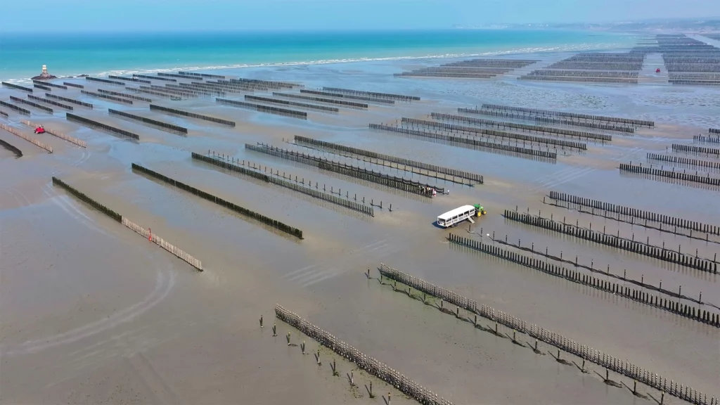 Myti'Bus Parc à moules Baie de Saint-Brieuc Myti'Bus Parc à moules Baie de Saint-Brieuc