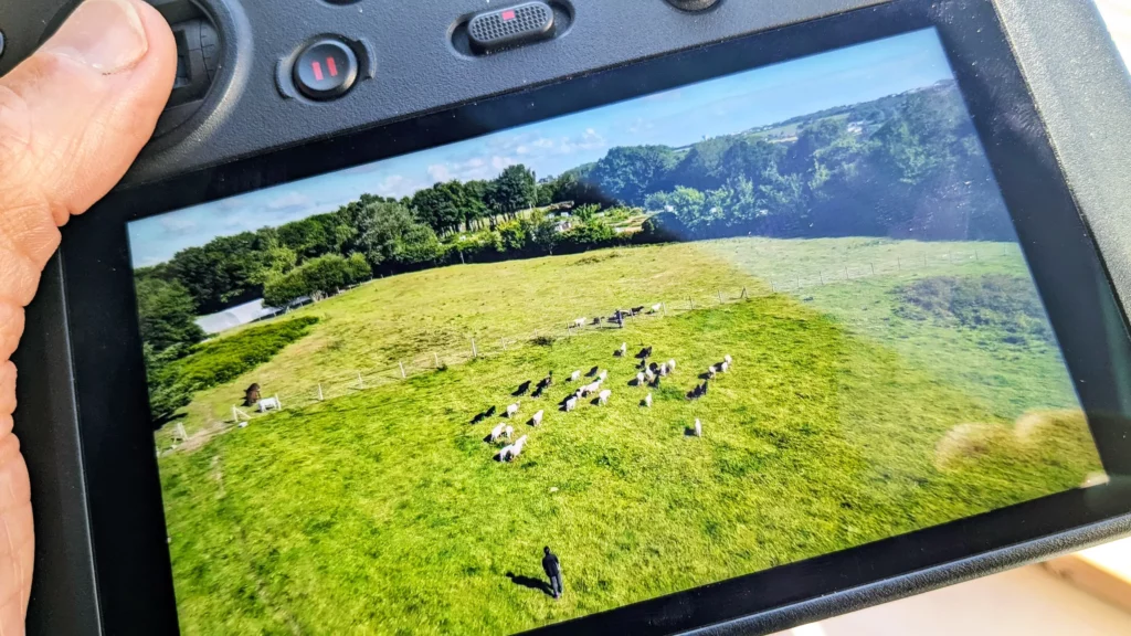 Sors Tes Moutons Saint-Brieuc Vue2drone Sors Tes Moutons Saint-Brieuc Vue2drone